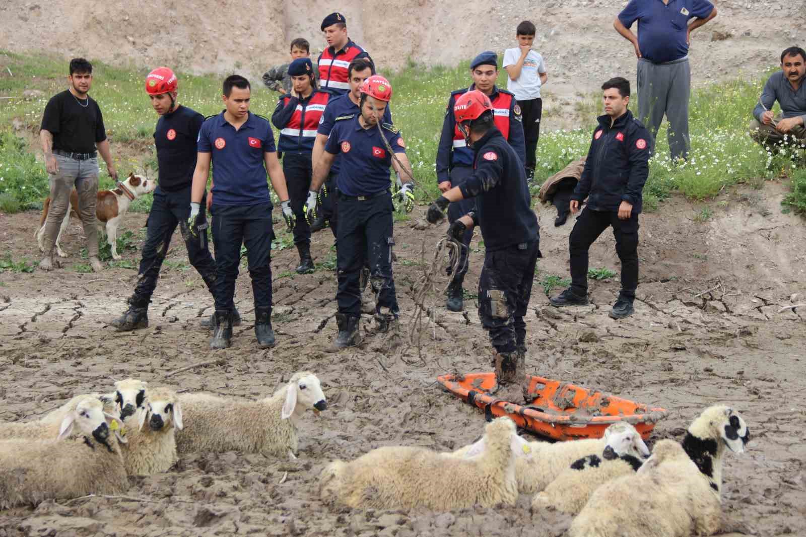 İtfaiyenin çileli anları! Bataklığa saplanan koyunlar 2 saatte kurtardı!