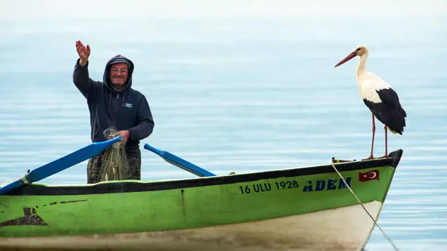 Milyonların gönlüne taht kuran Yaren Leylek'ten kötü haber!