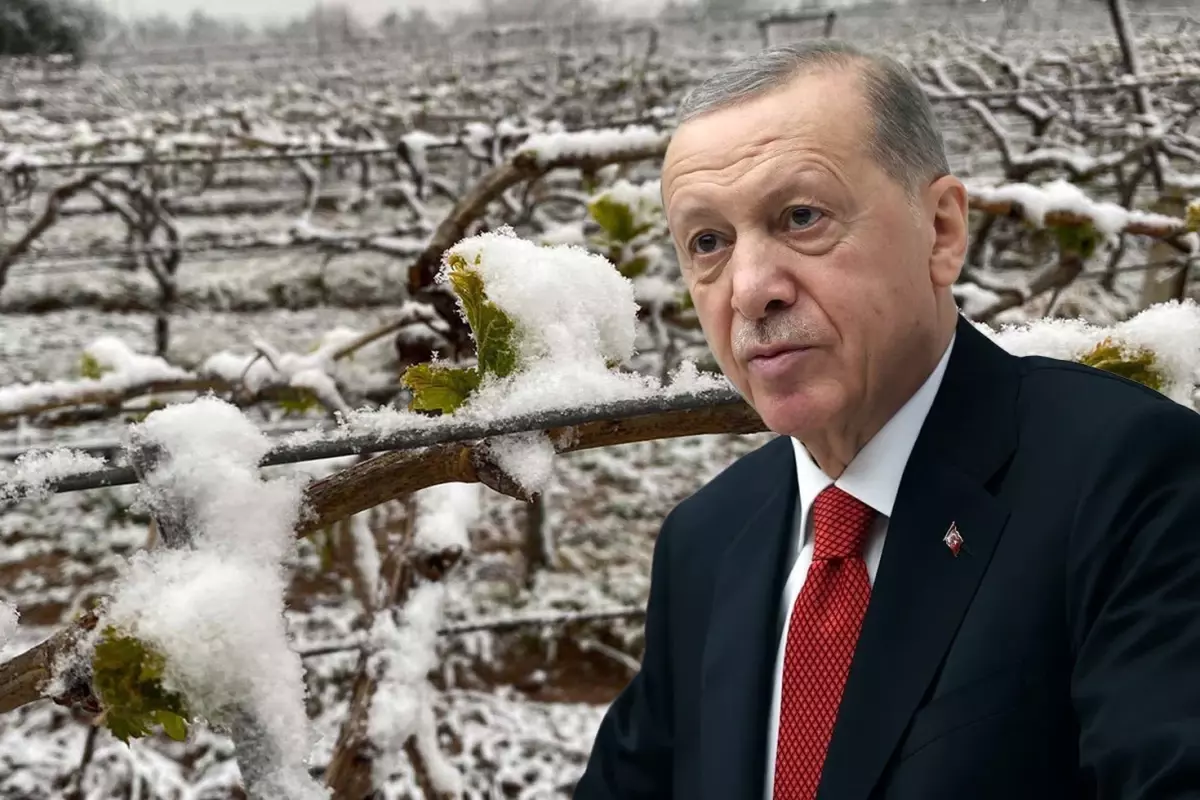 Erdoğan 'Dünya Çifçiler Günü'nde açıkladı: Bu yıl sıkıntı yaşayacağız!
