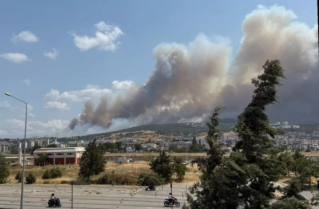 Çanakkale'de orman yangını başladı: Boğaz trafiğe kapatıldı!