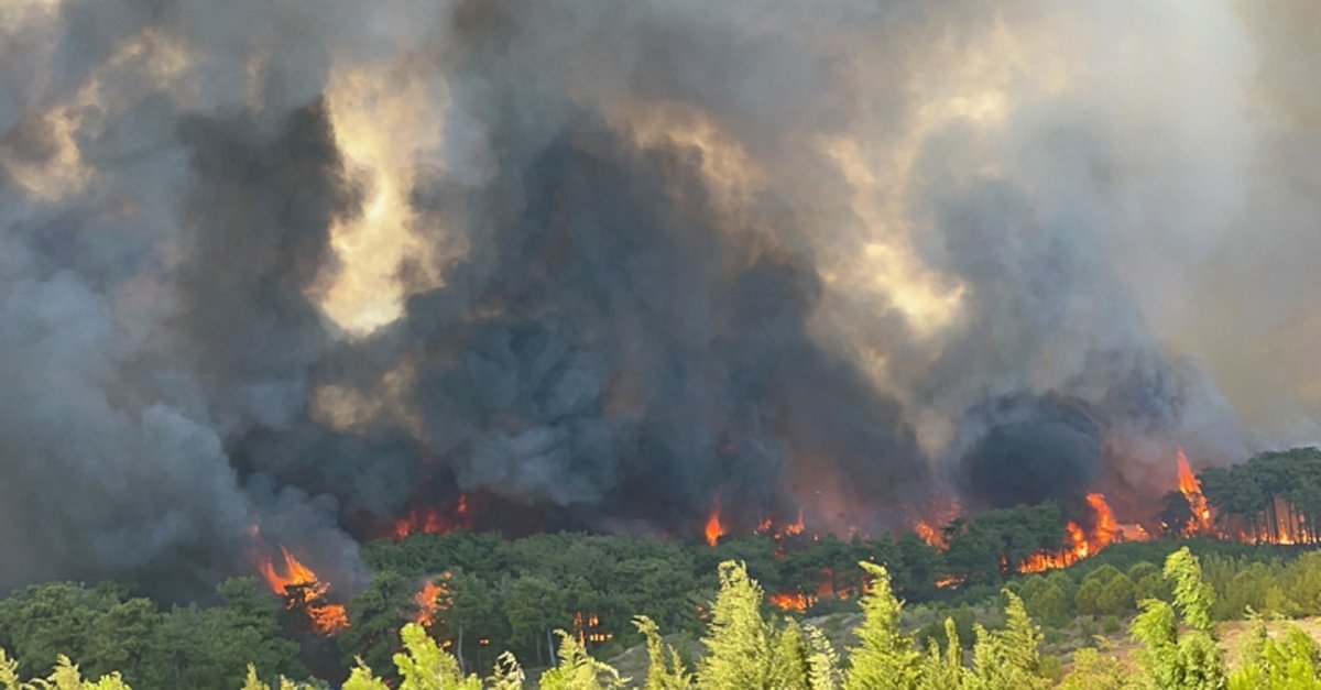 Son dakika! 5 ilimiz alev aldı: Ormanlarımız yine cayır cayır yanıyor!
