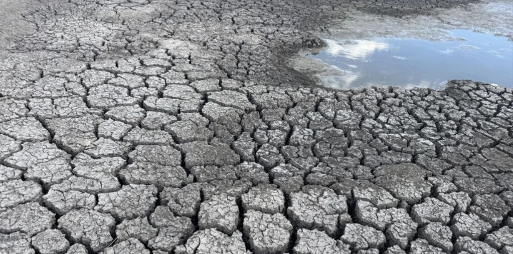 Türkiye'de kuraklığın arttığı iller açıklandı! O iller için tehlike çanları çalmaya başladı