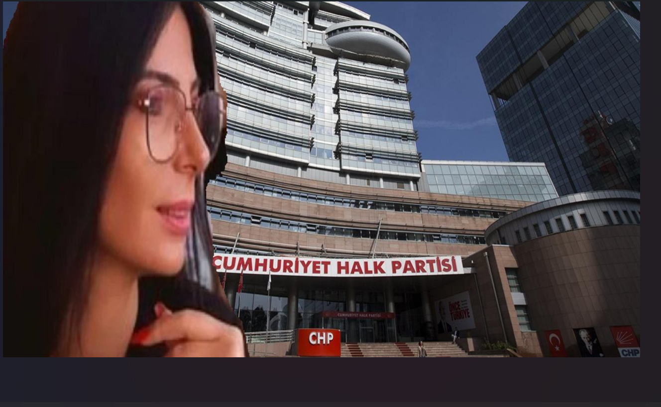 CHP İstanbul İl kongresi iptal davası açan özlem erkan kimdir nerelidir, CHP'de görevi ne?