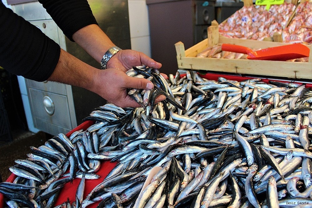 Vatandaş hamsiye doyacak: Balık tezgahlarında hamsinin kilosu 70 TL oldu!