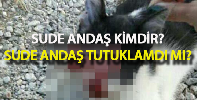 Sude Andaş Kimdir? Sude Andaş Tutuklandı mı?