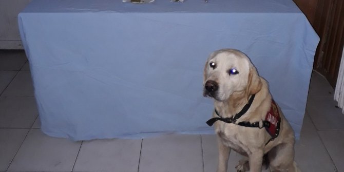 Uşak’ta 412 gram esrar ele geçirdi