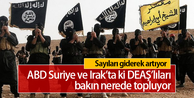 ABD DEAŞ'lıları Hangi Ülkede Topluyor | Sayıları Giderek Artıyor