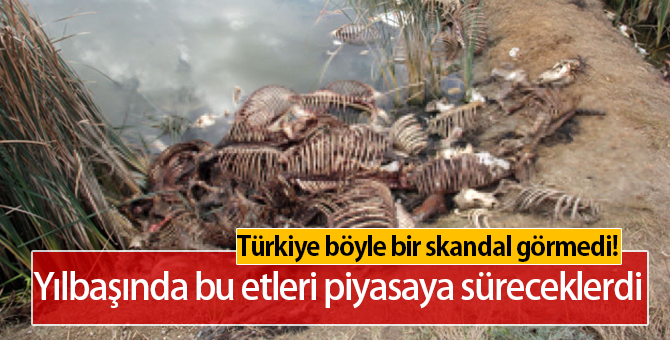 Adana'da Skandal Görüntüler | Dere Kenarındaki Eşeğin Kemikleri Kasapta Satılıyor