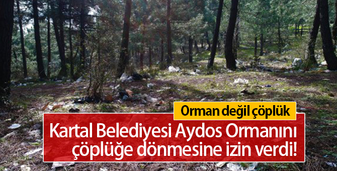 Kartal Belediyesi Aydos Ormanını Koruyamadı