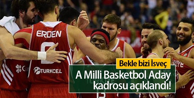 2019 A Milli Basketbol Aday Kadrosunda Kimler Var