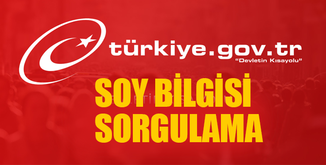 E-Devlet Soyağacı Sorgulama İşlemi Nasıl yapılır? VİDEOLU Anlatım