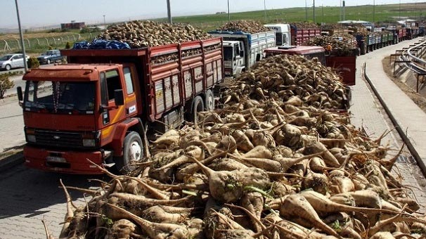 Hangi Şeker Fabrikaları Özelleştiriliyor