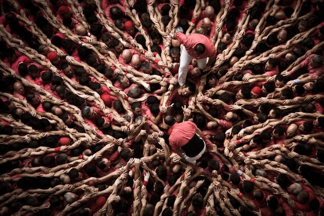 Dünyanın En Güzel Fotoğrafları, En Güzel Profil Fotoğrafları