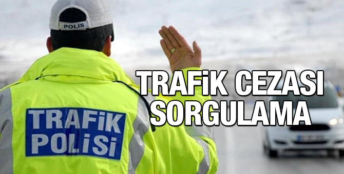 Trafik cezası sorgulama işlemi nasıl yapılır? Plakadan Trafik cezası