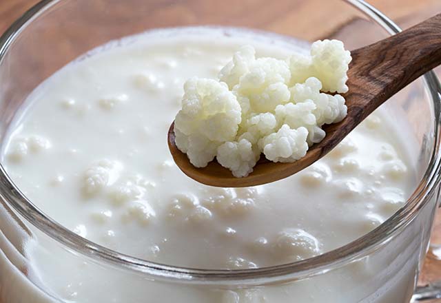 Kefir nedir? Kefirin faydaları nelerdir? Kefir nasıl yapılır? hepsi bu yazıda!