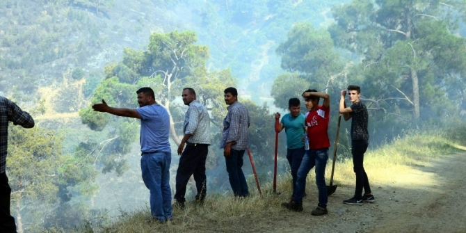 Anızdan çıkan yangında 200 hektar alan kül oldu