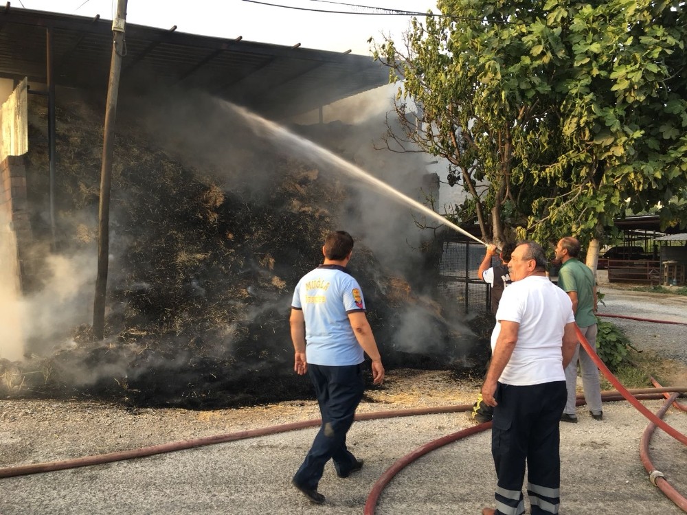 Muğla Milas’ta yangın