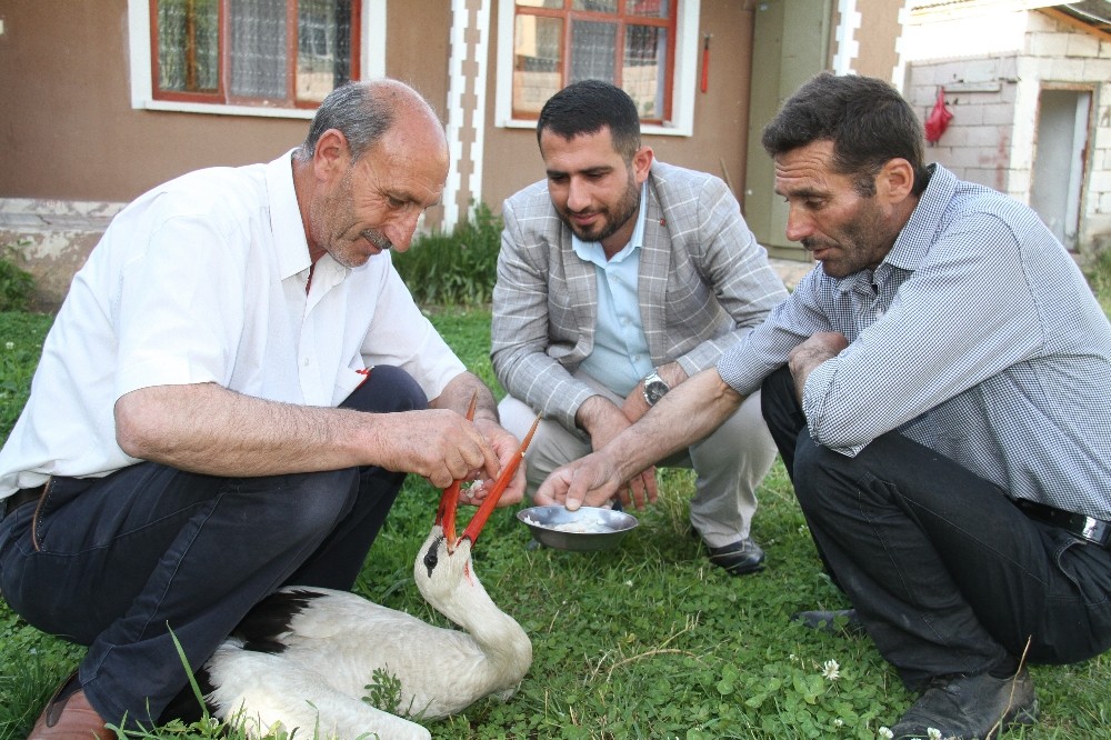 Van'ın Muradiye ilçesi Yumaklı Mahallesi Muhtardan örnek davranış