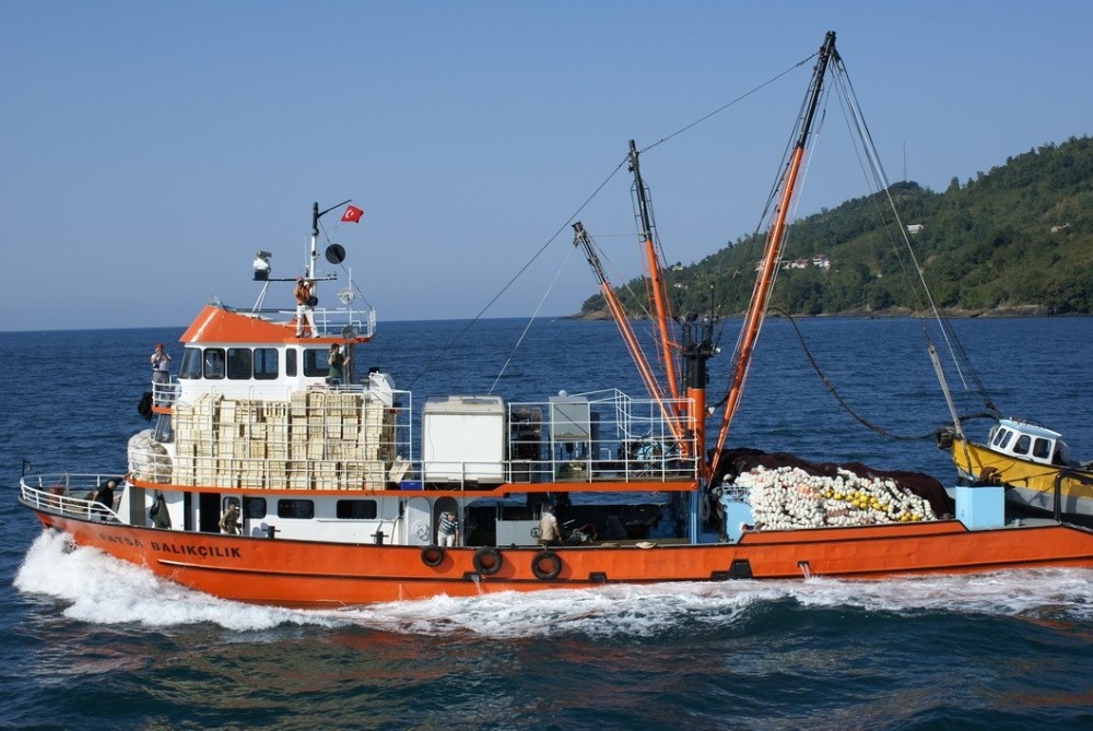 Ordu’da balık avı azaldı