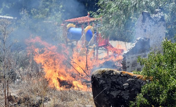 Bodrum'da yangın! Havadan, karadan müdahale edildi