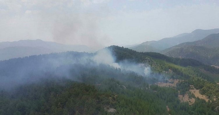 Denizli'de orman yangını