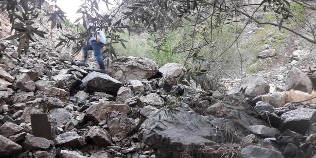 Artvin'de heyelan dolayısıyla 4 kişi maden ocağında mahsur kaldı