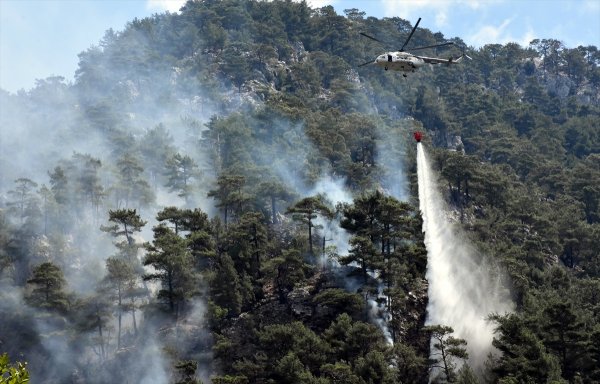 Muğla'da dün başlayan orman yangını hala etkisini gösteriyor