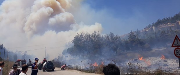 Bursa'da orman yangını