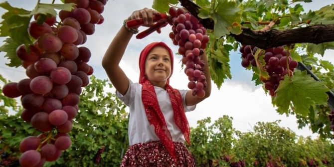 Photo Safari’de dereceye giren fotoğraflar belli oldu