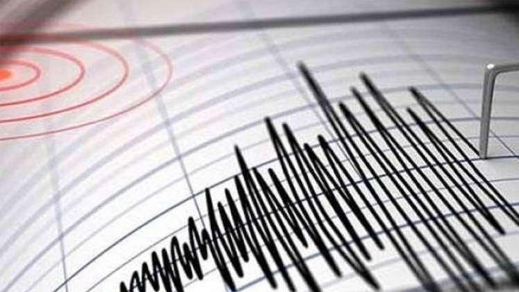 Endonezya'da deprem! 7,7 şiddetinde sallandı