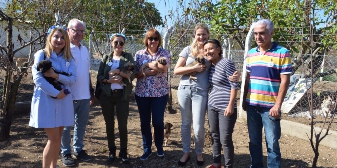 200 hayvanın soğukta yuvasız kalmaması için anlamlı çağrı