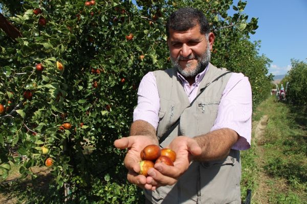 Hünnap çiftliği kurdu,zengin oldu!