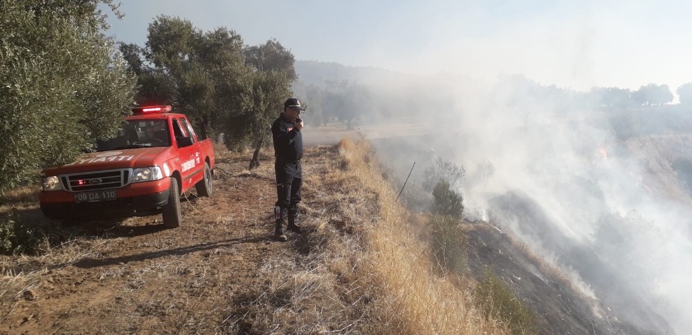 Aydın’da arazi yangını, onlarca zeytin ağacı cayır cayır yandı.