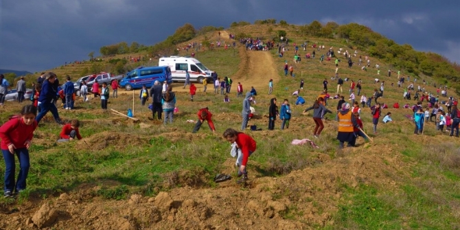 Öğrenci ve öğretmenler birlikte fidan dikti
