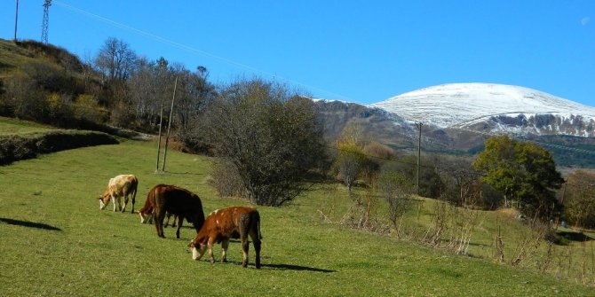 Doğu Anadolu Bölgesinde geceleri soğuk hava etkili oluyor