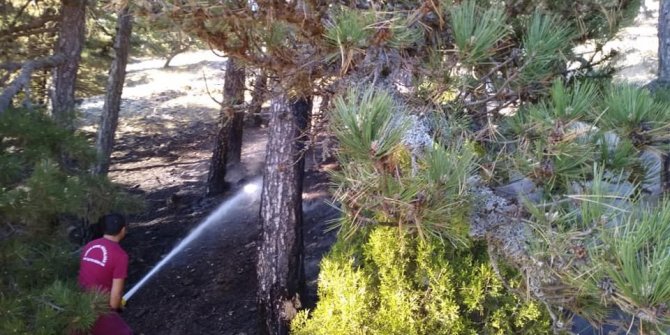 Kütahya'nın Emet ilçesi Cevizli Yayla bölgesinde Orman yangını büyümeden söndürüldü