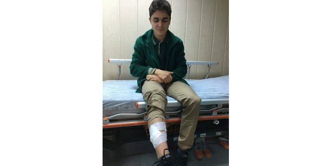 Lise öğrencisi başı boş köpeklerin saldırısına uğradı