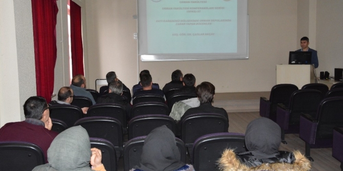 Orman depoları bilinçli şekilde oluşturulmalı