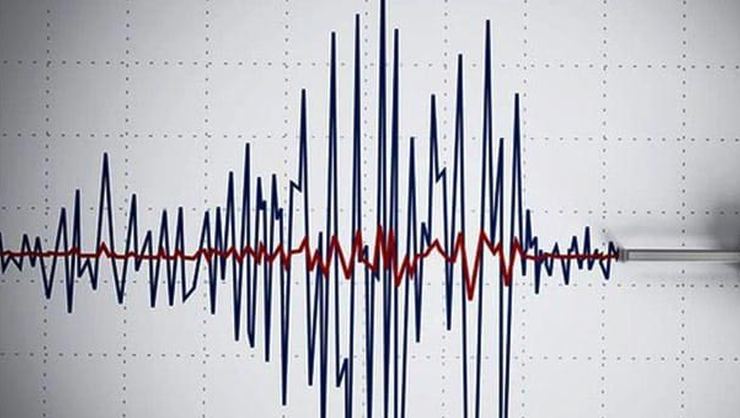 Datça'da 4,8 şiddetinde deprem