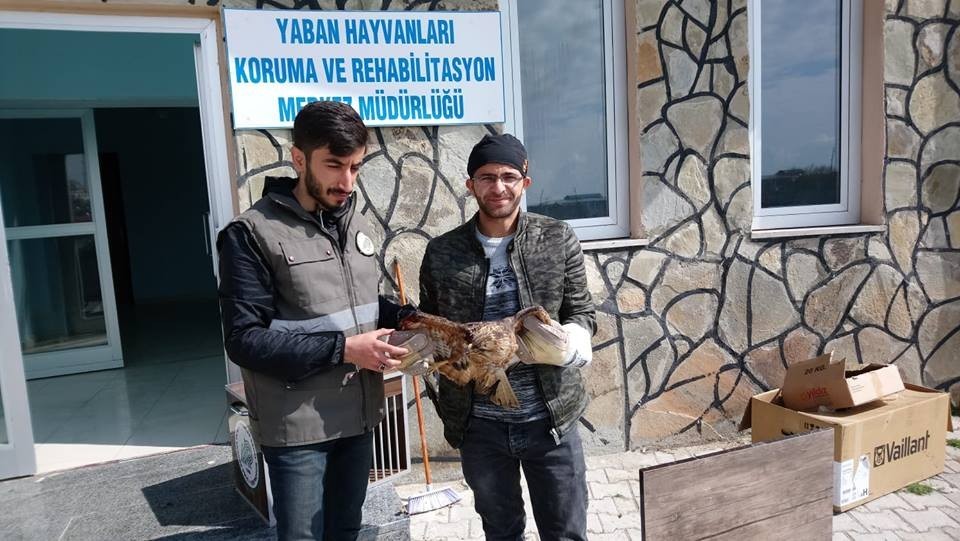 Van'da Yaralı kuşlar tedavi altına alındı