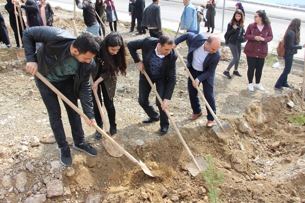 Fırat Üniversitesi Öğrencileri fidan dikti