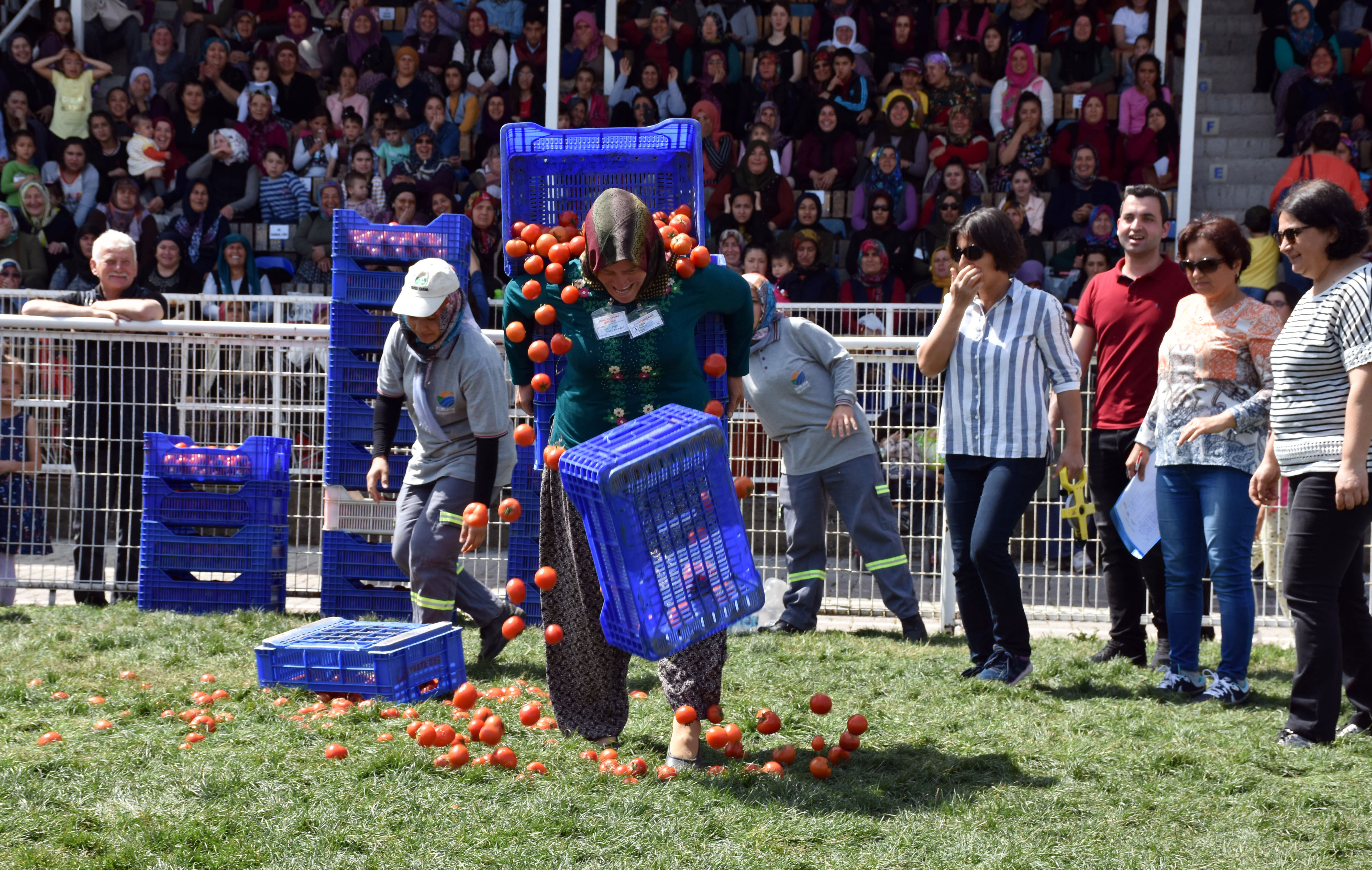 Festivalde Kadınlar domates kasası taşıdı, halat çekip yarıştı