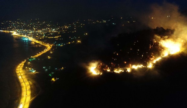 Giresun'da orman yangını!