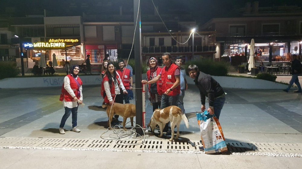 Balıkesir'in Edremit ilçesinde Genç Kızılaycılar sokak hayvanlarını unutmadı