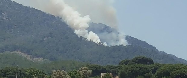 Muğla'da orman yangını çıktı! Ekipler müdahale ediyor