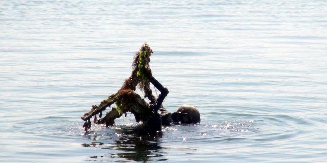 Tekirdağ'da polisin denizden çıkardıkları şaşırttı