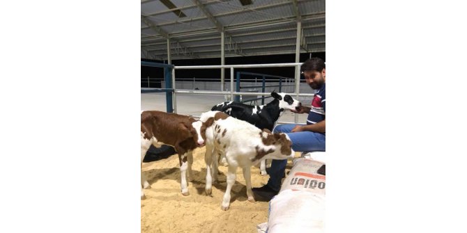 10 milyon liralık vurgun yaptı, Azeri sevgilisiyle yurt dışına kaçtı