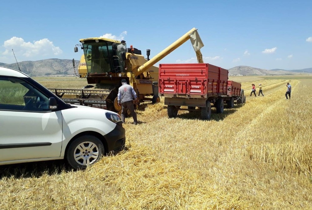 ’Hububat Timleri’ iş başında, fazla dane kaybını önleyerek, biçerdöver ihlallerine yaptırım uygulayacaklar