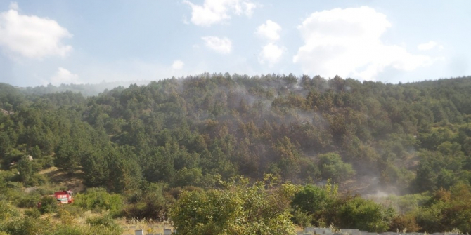 Yangın söndürme ekiplerini arı soktu