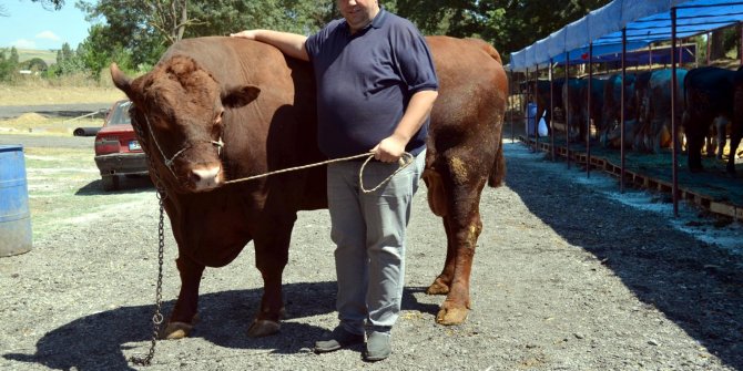 1,5 tonluk 'Süleymanpaşa'nın fiyatı 30 bin lira